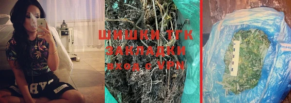 дживик Володарск