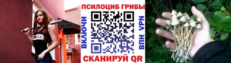 Псилоцибиновые грибы Magic Shrooms  закладки  ОМГ ОМГ ссылка  Павловская 